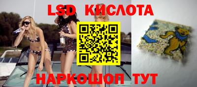 прущая мука Новодвинск