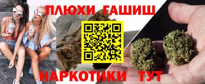 сатива Новокубанск