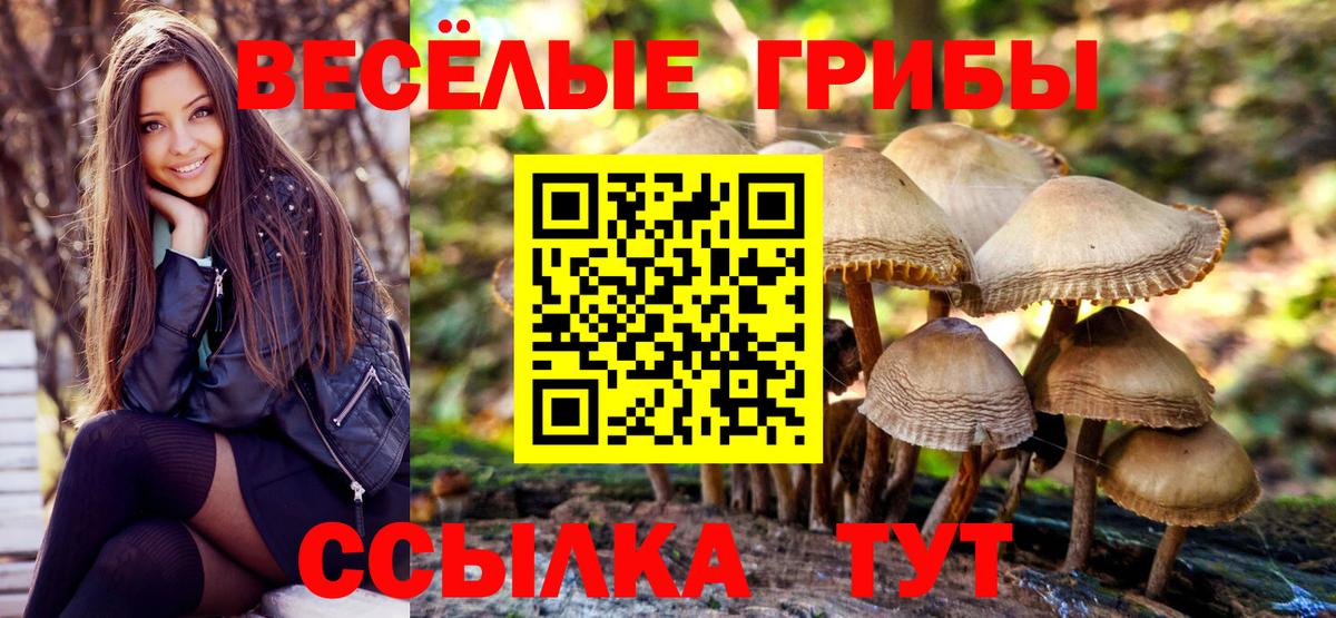 Псилоцибиновые грибы Psilocybine cubensis  Галлюциногенные грибы MAGIC MUSHROOMS  Вход с VPN  Соль-Илецк 