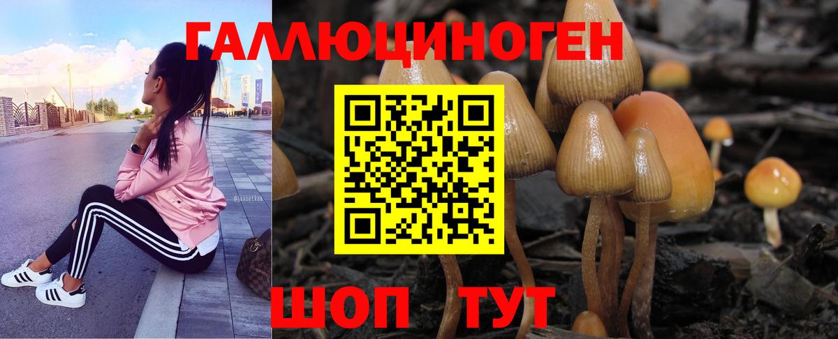 Галлюциногенные грибы прущие грибы Соль-Илецк